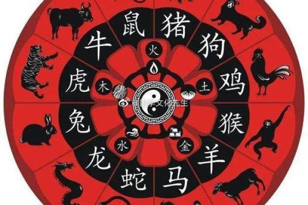 探秘农历属相：哪些命格最为上乘？