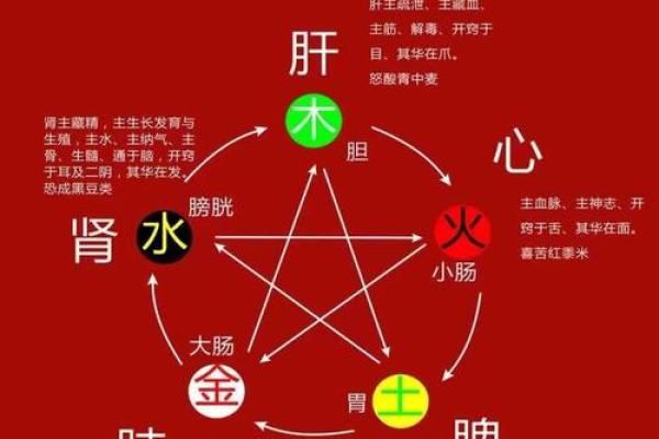 《解析《1984》的命理与五行属性》