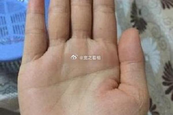 探秘掌纹：如何通过断掌命格揭示你的人生轨迹