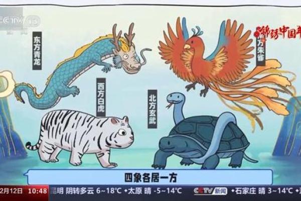 甲辰年出生的人命运解析：揭示你的星宿与人生轨迹