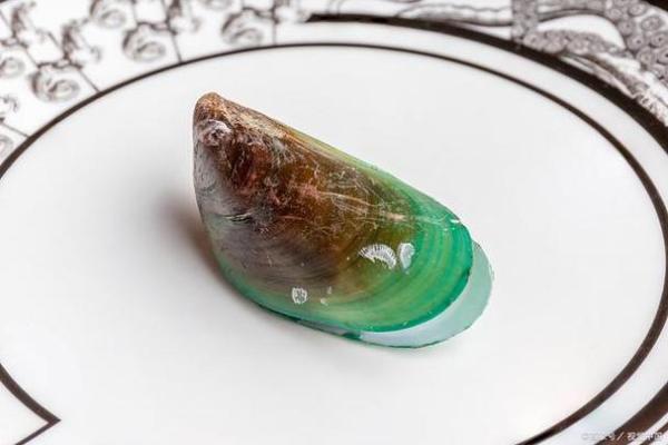 水命之人适合佩戴的饰品与珠宝解析