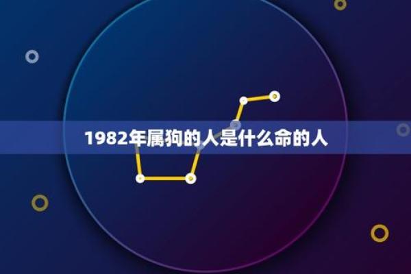 探秘1977年属狗人的命运与性格特征 探秘1977年属狗人的命运与性格特征