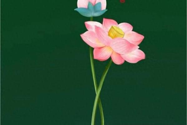 四季如春，若命若天：生命的无限可能性
