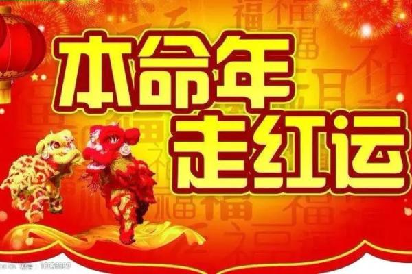 1988年出生的人命运解析：属龙之荣耀与挑战