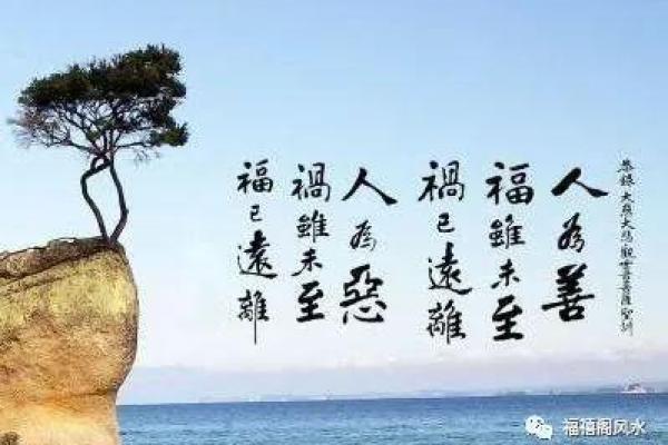 揭开“衰命”之谜:与生肖命理的深刻联系 揭开“衰命”之谜:与生肖命理的深刻联系