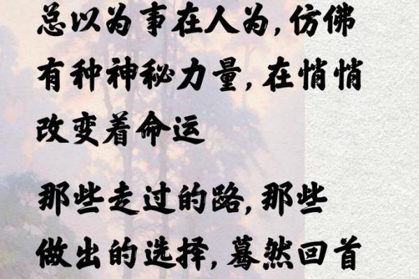 1993年出生的你，注定与众不同的命运与机会！