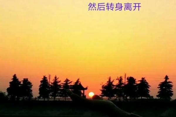 亲情淡薄：擦肩而过的命运与心灵的空缺