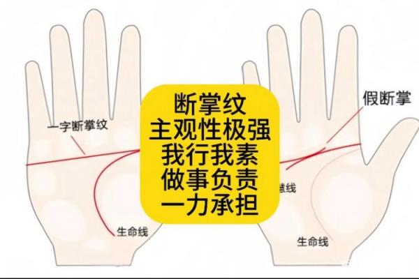 断掌纹的人是什么命？探索其背后的命理智慧