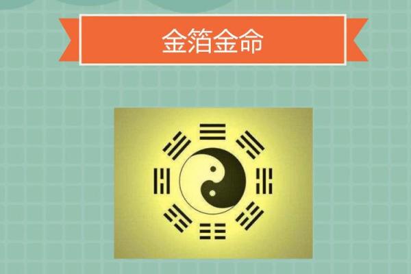 1991年出生的金命人：命运与性格的神秘解读
