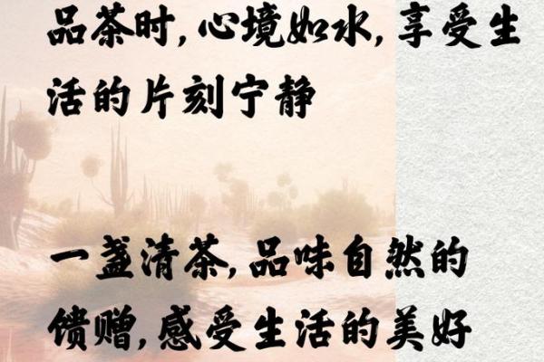 探秘宁静的命理:她的内心世界与人生哲学 探秘宁静的命理:她的内心世界与人生哲学