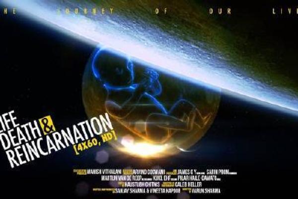 生命的轮回：以命换命的医学哲学探索