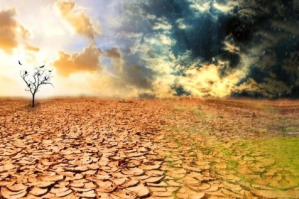 1974年：甲寅年，木命之人如何迎接生命的转折点？