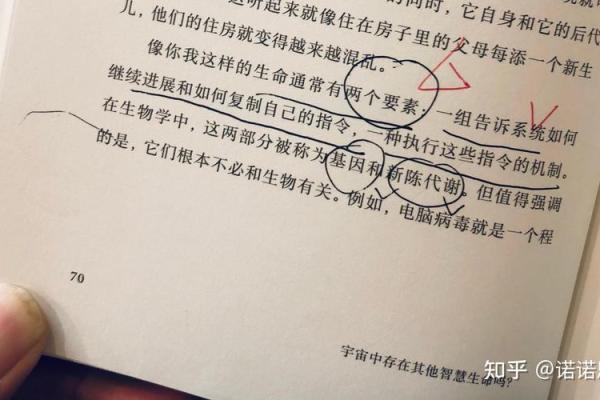 28岁老鼠:生命的智慧与命运的探索 28岁老鼠:生命的智慧与命运的探索