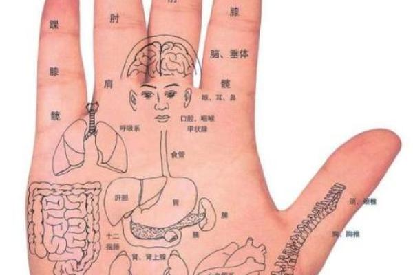 虎口有疤痕的命运解读：探寻背后的深意与象征