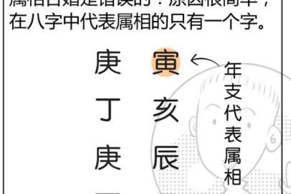 属相鸡命理解析：如何运用命理提升生活品质
