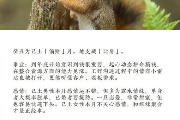 属土命人士与生肖的完美搭配:解析土命的生肖选择与运势提升 属土命人士与生肖的完美搭配:解析土命的生肖选择与运势提升