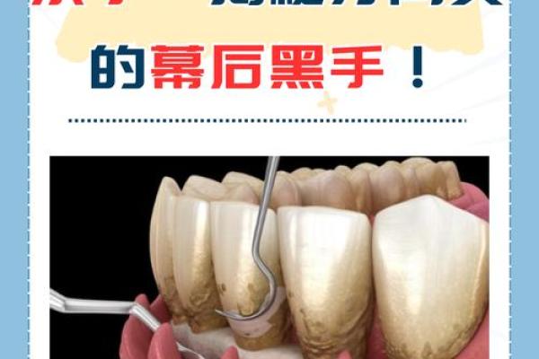骨质疏松：悄然无声的“隐形杀手”，如何守护健康骨骼？