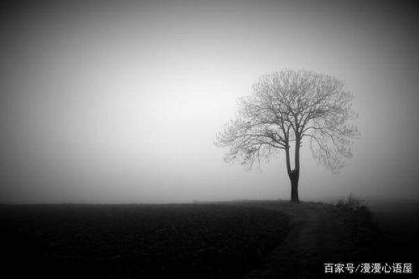 命理学中的“命带孤”：孤独与命运的深层解读