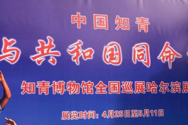 11月25日的独特命运：探索这个特别日子的意义与影响