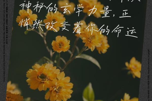 岁命的奥秘：探寻命运与时间的深远联系