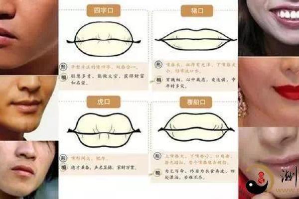 35岁属什么？揭秘你的命运与人生轨迹