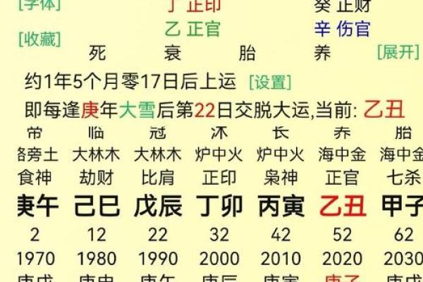 探秘命理：庚辰戊子丁巳庚午的命格解析与人生启示