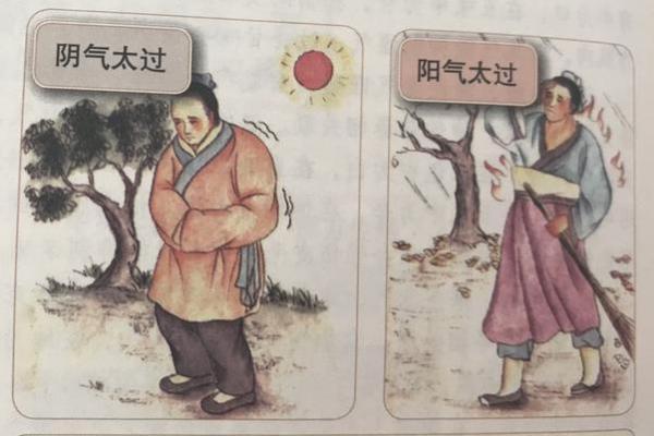 探索戊戌平地木命的五行缺失与人生方向