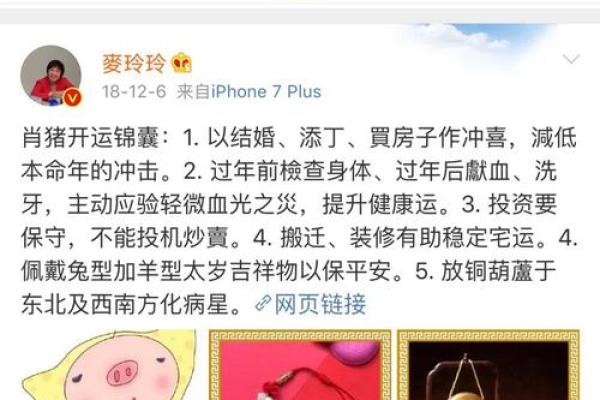 2010年属什么生肖？解读猪年命运与特点！