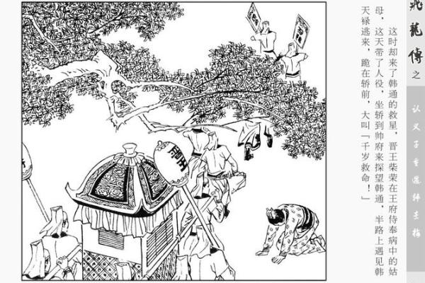 飞龙命的深意解析与人生启示