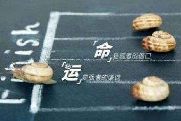 算命中的10个字命，揭示人生的秘密与机遇