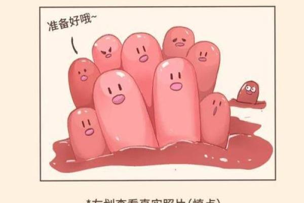 火炎土燥女命：寻找理想伴侣的完美指南