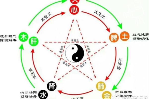 命理学中的五行相生相克:揭示人生背后的秘密 命理学中的五行相生相克:揭示人生背后的秘密