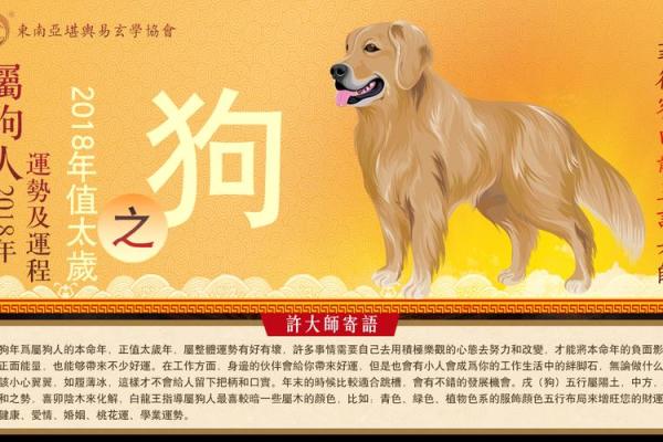 生肖属狗之命:性格特征与人生运势详解 生肖属狗之命:性格特征与人生运势详解