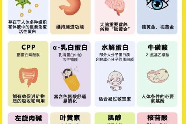 根据体质决定鱼是什么命，解密鱼类与体质的奥秘