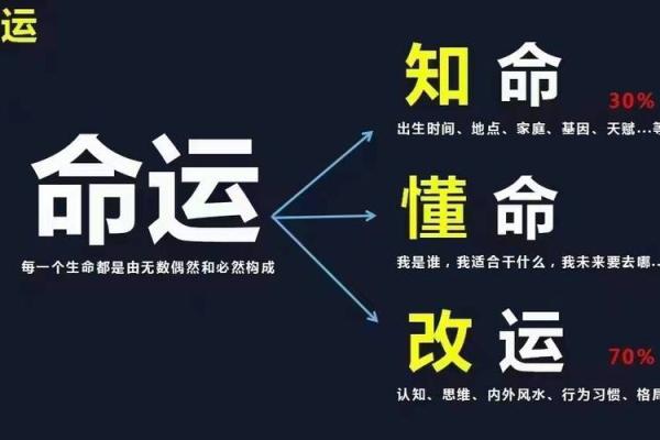 如何通过命格分析寻找人生缺失的关键要素
