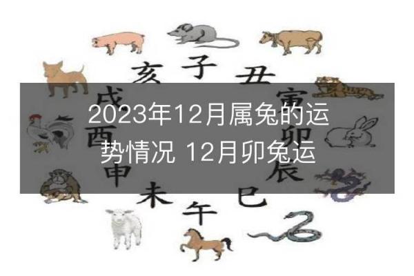 2023兔年命理解读：探索兔年的吉凶与运势