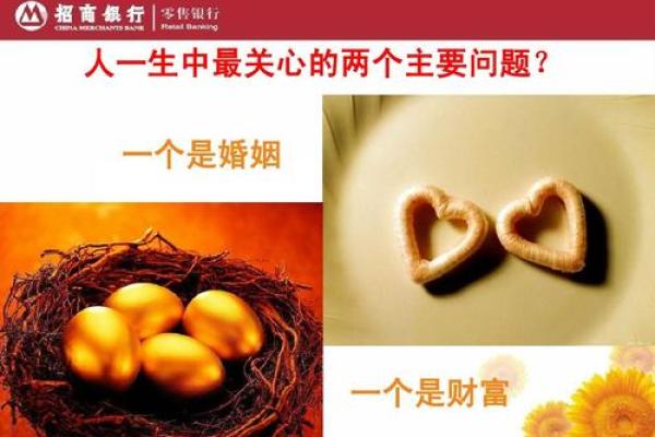 55岁的人命运解析：属什么，命中注定的财富与幸福！