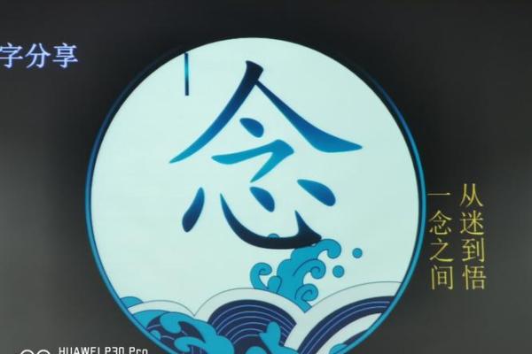 宋美英命运的秘密：从光辉到传奇的旅程