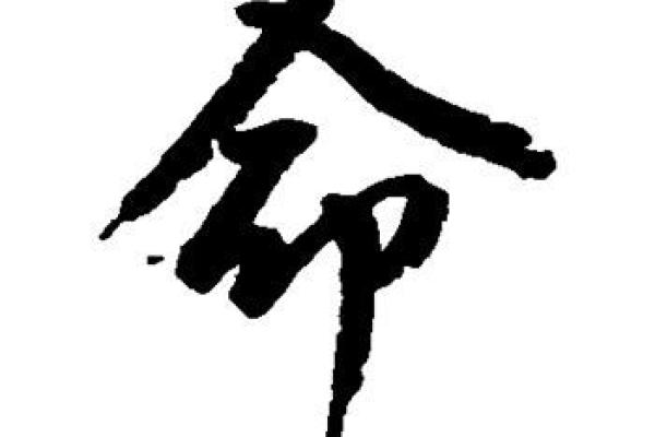 探秘命字的音序与读音：命运与生活的神秘联系