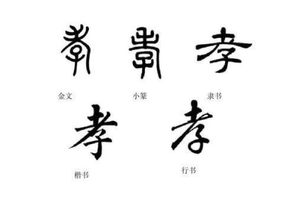 探秘命字的音序与读音：命运与生活的神秘联系