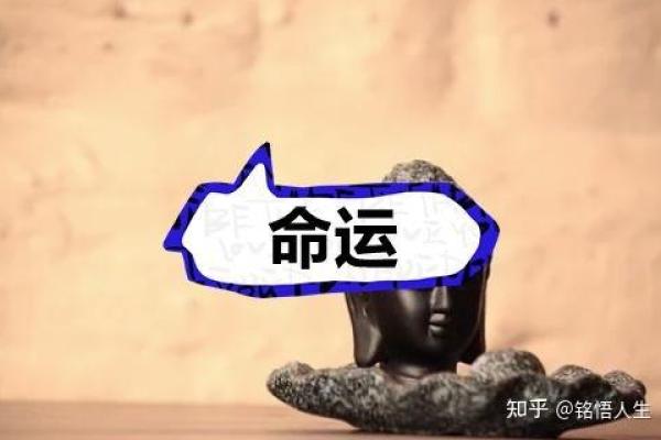 苏州腊月生日命理揭秘：探寻命运背后的秘密与智慧