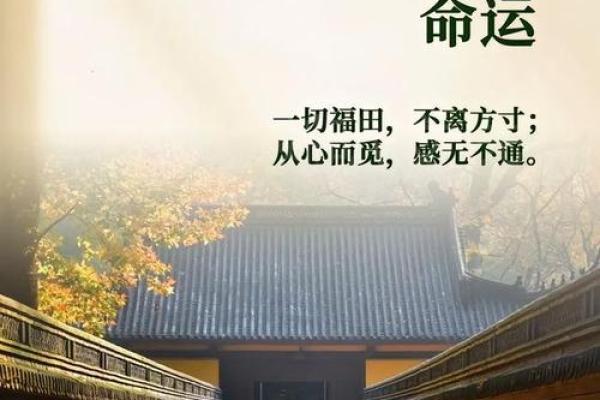 苏州腊月生日命理揭秘：探寻命运背后的秘密与智慧