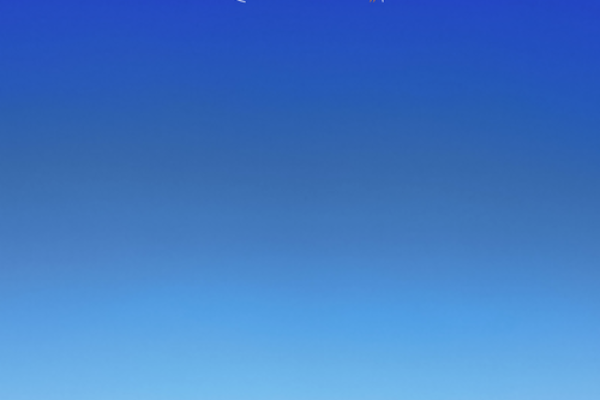 1971年2月：命运的转折与生活的思考