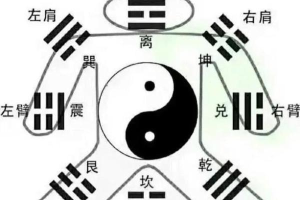 探秘腊月二十：属命与命理的奥秘