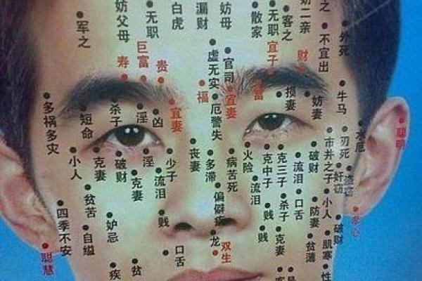 通过面相分析，揭示你的命运走向与性格特征