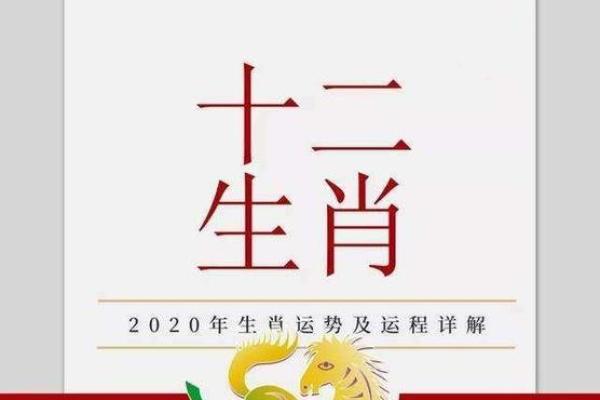 34年生肖分析：属什么？命运如何？详细解读！