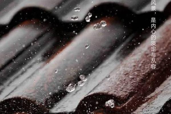 64岁属狗,揭秘其命理与人生轨迹之道! 64岁属狗,揭秘其命理与人生轨迹之道!