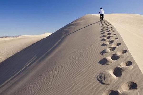 42岁的命运：寻求平衡与内在成长的旅程