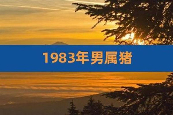 1983年属猪的命运与性格特征探究