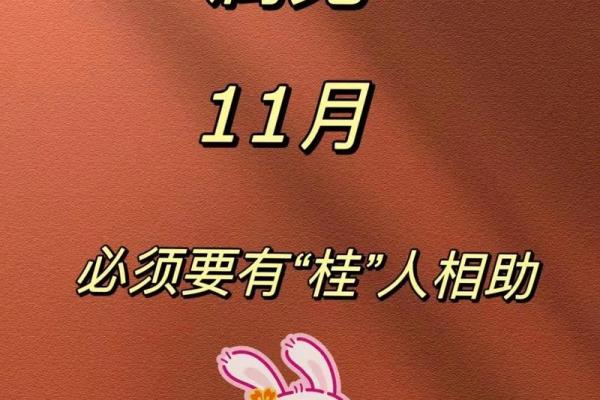 属兔人的命运与人生：揭秘1951年出生的人的生肖特点与性格分析